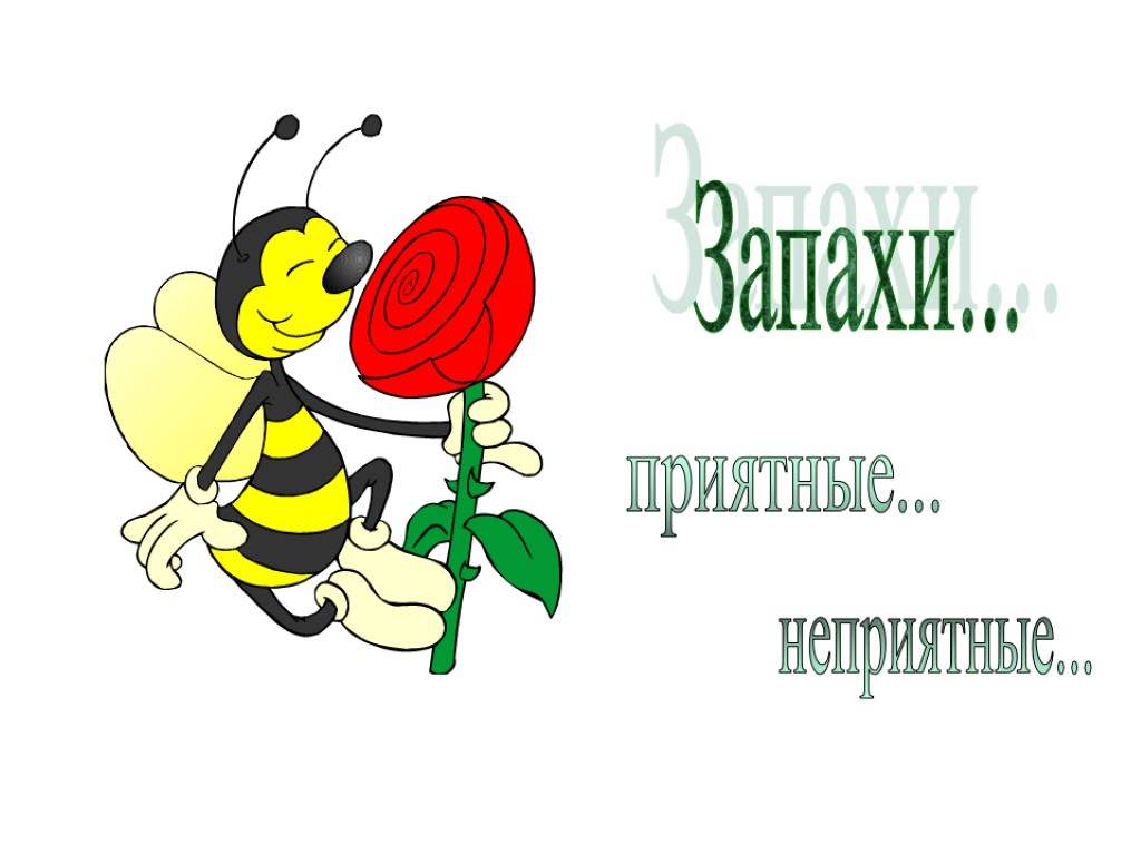 Запахи... приятные... неприятные...